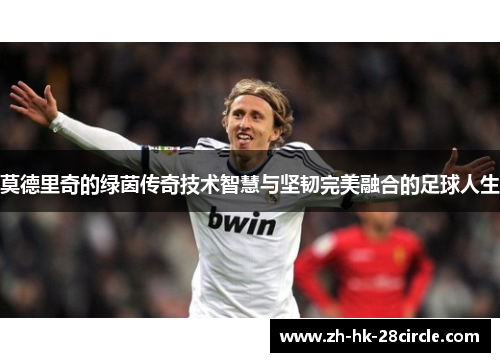 莫德里奇的绿茵传奇技术智慧与坚韧完美融合的足球人生 莫德里奇的绿茵传奇技术智慧与坚韧完美融合的足球人生